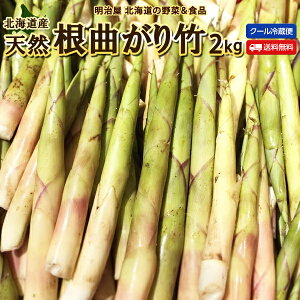 【お届け期間5月下旬-6月下旬予定】たけのこ 送料無料 根曲がり竹 2kg 生 北海道産 天然 春の山菜 タケノコ たけのこ 冷蔵便 筍 御中元