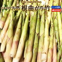 【予約商品】【5月下旬-6月下旬お届け】たけのこ 送料無料 根曲がり竹 1kg/2kg/3kg/5kg 生 北海道産 天然 春の山菜 タケノコ たけのこ 冷蔵便...