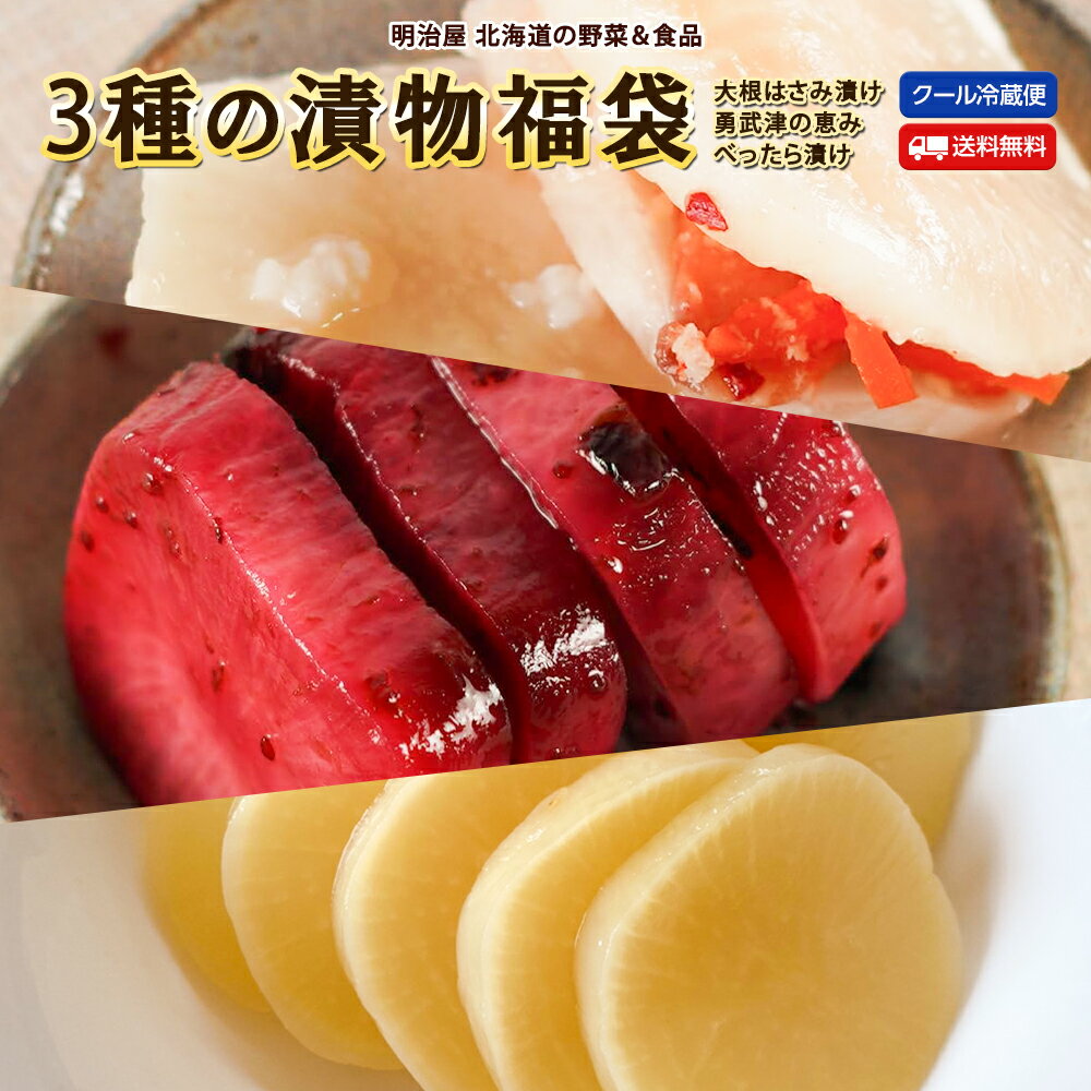 3種の漬物福袋 送料無料 国産大根使用 (ハスカップ 鮭 べったら漬け)冷蔵便 大和屋食品 苫小牧