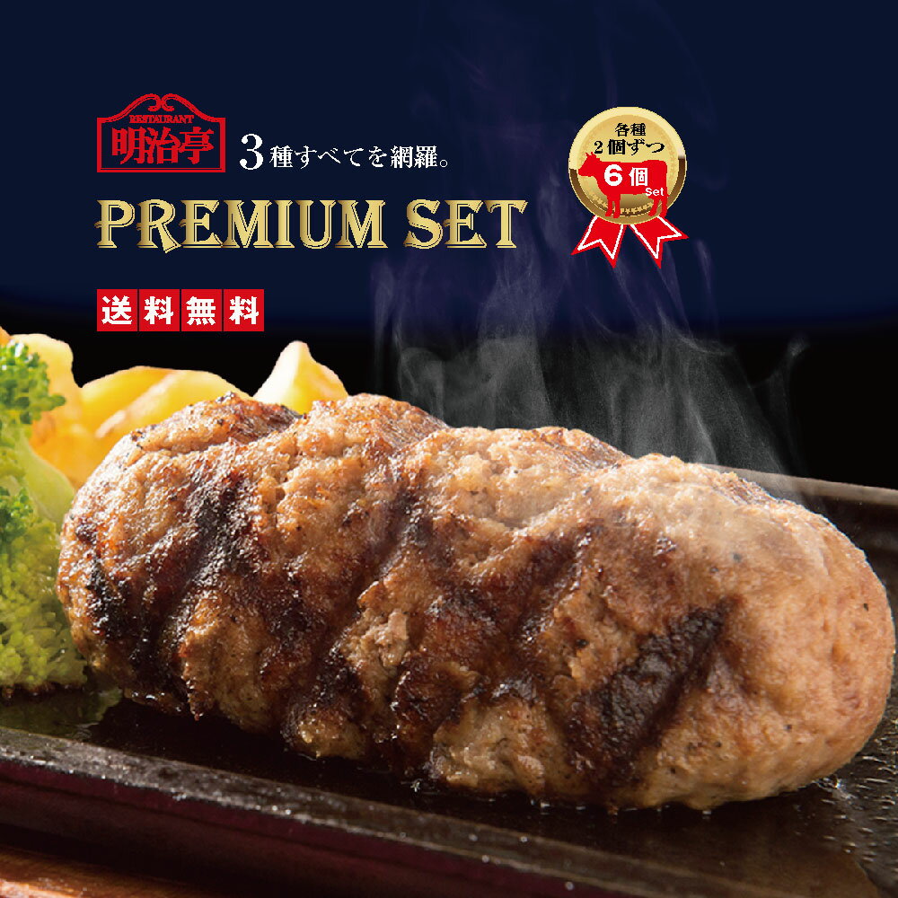 【送料無料】3種全て入ったPREMIUM SET6個入(各種2個)近江牛100％ハンバーグ（オリジナル）近江牛ブレンド明治亭ハンバーグ（デミグラス) 近江牛ブレンド粗挽きハンバーグ（オリジナル)【湯せん 詰め合わせ 内祝 冷凍 父の日 御中元 ギフト】