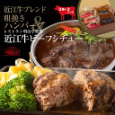 アマノフーズ フリーズドライ 5種具材のビーフシチュー 4食×12箱入×(2ケース)｜ 送料無料 一般食品 インスタント食品 即席