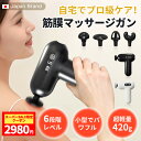 ★赤字覚悟・父の日限定20名様クーポン★筋膜リリースガン マッサージガ...(2)