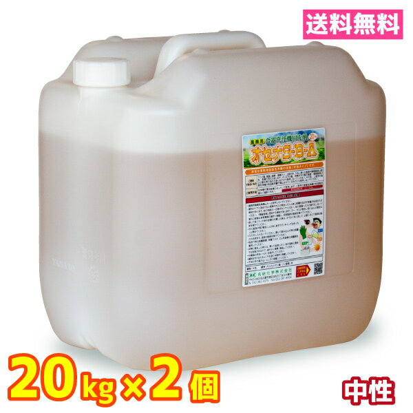 業務用 食器洗浄機 食洗器 洗剤 送料無料 20kg 2個 中性 オセナS-B-A　ホシザキ等各種メーカーに対応