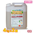 業務用 食器洗浄機 食洗器 洗剤 送料無料 4kg 2個 中性 オセナS-B-A ホシザキ等各種メーカーに対応