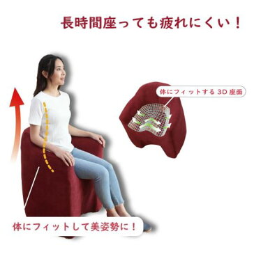 マジかるソファ-magical sofa- RAY-ハンナ | 一人用 ソファ お年寄り いす 一人掛け 椅子 ソファー イス 1人用ソファ チェア 肘掛け 低い椅子 低い ロータイプ シングルソファ ローソファー 在宅勤務 敬老の日 プレゼント シングルソファー テレワーク 高齢者 おすすめ 在宅
