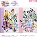 サンスター文具 美少女戦士セーラームーンシリーズ×サンリオキャラクターズ 限定 クリアファイル