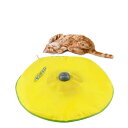 海外発送 Dougez 電動キャットトイ回転盤 キャットトイ 猫のおもちゃ 四段階の調節可能