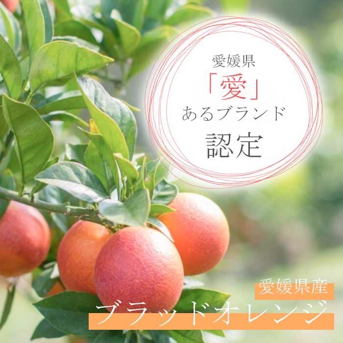ブラッドオレンジ梅酒☆1ケース(12本)買いで...の紹介画像3