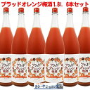 ブラッドオレンジ梅酒 1800ml×6本 梅酒 2021年梅酒品評会 金賞 受賞 アントシアニン 居酒屋 ホームパーティー 家飲み ブラッドオレンジ ハロウィン くりすます クリスマス お買い物マラソン ポイント10倍