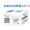 不織布3層マスク レギュラーサイズ 50枚入り2箱 三層マスク 使い捨てマスク 立体型不織布マスク 立体プリーツマスク