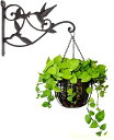 【マラソン期間限定20倍】植物ハンガー 手鍛造鉄 壁に取り付け フック DEWEL 園芸 庭用植物用ブラケット 防錆ブラケット 復古ファッション アイアン 吊り...