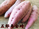 五郎島金時 サツマイモ 3kg 訳あり品石川県産 ごろうじま金時 さつま芋 薩摩芋昔ながらの ほのかな甘味とふっくら食感が特徴傷アリ 格安 形・サイズ指定不可訳アリ・わけあり・ワケアリ品限定 楽天 通販 価格 特価 販売 お土産