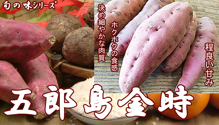 五郎島金時 サツマイモ 20kg 訳あり品石川県産 ごろうじま金時 さつま芋 薩摩芋昔ながらの ほのかな甘味とふっくら食感が特徴傷アリ 格安 形・サイズ指定不可訳アリ・わけあり・ワケアリ品ポイント10倍 10倍ポイント 楽天 通販