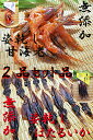 甘えび姿干し 20g×5袋+ほたるいか 素干し 25g×5袋=計10袋入セット日本産 国内産無添加 無着色 甘海老 あまえび 甘エビ蛍いか煮干し ホタルイカ 干物 乾し ほたるイカ ホタルいかポイント10倍 10倍ポイント お歳暮 歳暮