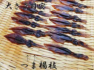 甘えび姿干し 20g×1袋+ほたるいか 素干し 25g×1袋=計2袋入セット日本産 国内産無添加 無着色 甘海老 あまえび 甘エビ蛍いか煮干し ホタルイカ 干物 乾し ほたるイカ ホタルいか楽天 通販 お中元 販売 お土産 御中元