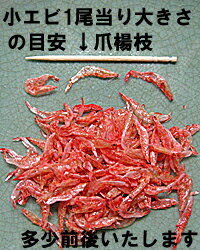 小エビ メール便 送料無料乾燥 小えび 14g×6袋入 メール便対応アキアミ アミエビ 乾燥品 干し エビ小エビのあきあみ あみえびの乾燥品で手軽にカルシウム 送料込 価格 販売楽天 通販 価格 販売 お土産 記念 ギフト 2