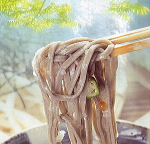 蕎麦（予算3000円以内） 越前そば 送料無料 半生麺福井県 越前そば 4食分麺つゆ付福井 越前そば 通販 生めん仕立越前蕎麦 越前そば ギフトでもOK 送料込 価格