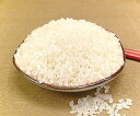 一度お試し下さい 数量限定品無洗米 2.5kg 送料無料 福井県産こしひかり 無洗米 2.5kg コシヒカリ福井県産 無洗米 送料無料 無洗米 コシヒカリ@H23年産 新米お届けスタート 送料込 価格ポイント10倍 10倍ポイント 通販 楽天 販売