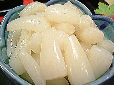 〔先行ご予約品〕100％国産　越前名産真珠のしずく　500g入　厳選「薄甘酢漬け三里浜らっきょう」国産　福井県産ラッキョウ限定 楽天 通販 価格 特価 販売 お土産のサムネイル
