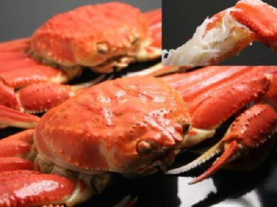 日本海産 ズワイガニ ずわいがに 姿 オス 1尾ズワイ 蟹 Lサイズ 送料無料 国産 ずわい蟹 かに 送料無料 送料込 価格日本産 ズワイカニ ずわいかに通販 ...