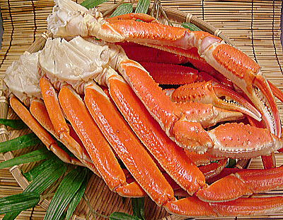 ズワイガニ 肩 送料無料ずわいがに 肩 1kg ズワイ蟹 冷凍 ボイル ズワイガニ 足 殻付ずわい蟹 足身 ずわいがに 足 脚 脚身 肩身カニ鍋 かに鍋 蟹 鍋...