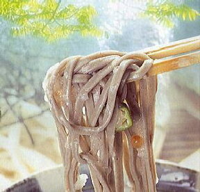 送料無料 越前そば6食セット お徳用お蕎麦 麺つゆ付き半生 越前蕎麦セット越前特産　「越前そば」(新そば)セット 送料込 価格楽天 通販 価格 販売 お土産 記念 ギフト