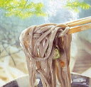 蕎麦 越前蕎麦 送料無料 半生めん福井県 越前そば 36食分入 麺つゆ付福井 越前そば 通販 生麺仕立 ギフトでも越前おろしそば 越前おろし蕎麦楽天 通販 価格 販売 お土産 記念 ギフト