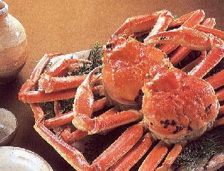 送料無料 セイコガニ 特大2L せいこ 蟹10杯ずわいがにの 雌ガニ メスガニ が せいこ蟹呼称はセコガニ 香箱蟹 こっぺがに せこがに 親がに メガニ コウバコガニせこ蟹 こうばこがに 親がに 香箱ガニ 親かに 内子限定 楽天 通販 価格 特価 販売 お土産のサムネイル