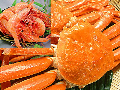 ずわい蟹 送料無料 ずわいがに1杯+甘エビ100gセットずわい蟹 姿身をボイルしズワイガニを冷凍便で&甘えび100g 送料込 価格冷凍ズワイガニ ずわいかに ず...