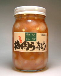 梅肉らっきょう ピリ辛風味 500g福井産のらっきょう漬けと福井産 ねり梅を使った当店オリジナル品シャリっと風味食感が美味しい らっきょと梅肉のコラボ福井産花ラッキョウ使用楽天 通販 価格 販売 お土産 記念 ギフト