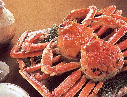 ズワイ蟹 ズワイガニ セールズワイガニ 2尾 入セット ズワイガニ 鍋 冷凍便でズワイガニ 食べ方 のしおり入ズワイガニ 姿身をボイルしズワイガニ 冷凍便で通販...