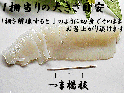 イカ 刺身 お造り いか するめいか 350g×1個イカの刺身 を イカそうめん にしてもスルメイカ いかそうめんポイント10倍 10倍ポイント 楽天 通販