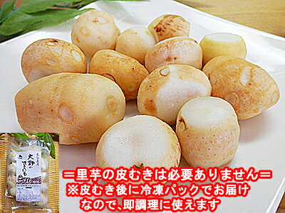 冷凍 皮むき済みタイプ 里イモ 300g×5袋入福井県大野市上庄産 里芋 さといもを皮むき後里いも サトイモ 洗い子 あらいこ 洗いこ上庄里芋 上庄里芋 上庄さといも 冷凍品価格 通販 敬老の日 楽天 販売 ギフト