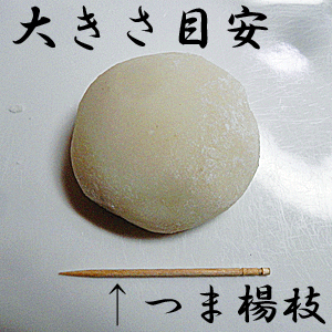 越前そば 2食 + 丸餅 300g セット手造り 白 丸餅 添加物不使用 丸もち 越前蕎麦 半生 雑煮餅 丸餅 まるもち まる餅 手作り 白 杵つき お正月餅 お供え 杵つき 餅 おぼろポイント10倍 10倍ポイント 楽天 通販