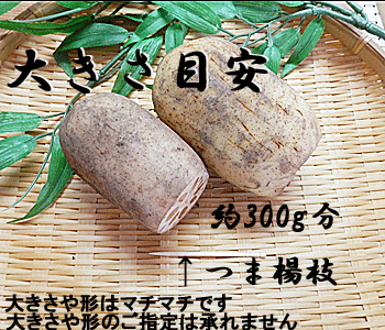 【マラソン限定！ポイント2倍！学割5倍！】ひよこ豆 オーガニック 乾燥 有機 アリサン 有機黒ひよこ豆 1kg