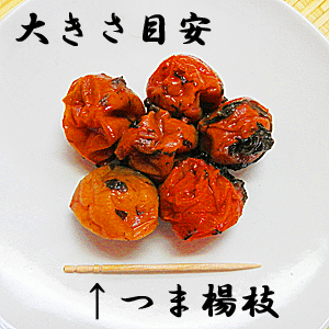 梅干し　梅干　5kg 国産 梅使用わけあり品 つぶれや硬めの梅を含みます伝統製法で昔ながらの梅干し 塩漬けしょっぱい梅干をお届けポイント10倍 10倍ポイント 楽天 通販