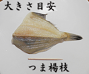 【30缶セット】千葉産直　オイルサーディン100g 【北海道・沖縄以外送料無料】