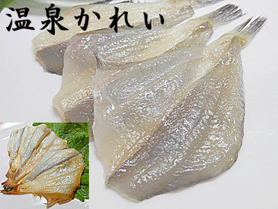 温泉かれい 送料無料 3kg(1kg×3個入)温泉カレイ 温