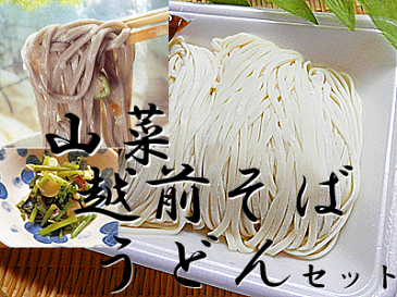 送料無料 山菜うどん 4食 山菜そば 4食 計 8食分セット 味付山菜2袋入生うどん 冷凍 麺つゆ付 冷凍生うどん 生 うどん越前そば 越前蕎麦 生そばポイント10倍 10倍ポイント お歳暮 歳暮