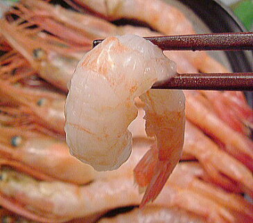 ずわいがに 肩 身 5kg+甘エビ1kg 入 セットずわい蟹 姿身をボイルし 冷凍ズワイガニ 肩 甘えび かにすき セットズワイ蟹 冷凍 ボイル品 ずわい蟹 足身 ずわいがに足 脚 脚身 ずわいカニ ##限定 楽天 通販 お土産 敬老の日 ギフト