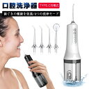 【2025最新】口腔洗浄器 ウォーターピック ジェットウォッシャー 4本ノズル付き 4つモード調節可能 IPX7防水仕様 歯垢除去 Type-C充電 残電量表示 携帯型 歯周ポケット洗浄 磨き残しゼロを目指す 省スペース 280ml水タンク 日本語取扱説明書付き【PL保険加入済み製品・安心】
