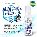 【日本製】KAJ 抗菌 EX ジェル 手指 携帯用(100ml*1本)ASAP Shipping 除菌ジェル アルコールジェル 消毒用 消毒用エタノール 消毒液手指 ウイルス virus