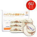 ROYAL VALE【 健康マットミニ 】6U 6通りの利用方法 赤ちゃんから大人 快眠 睡眠 美顔 疲労回復 不眠症 冷え性 肩掛け ひざ掛け 座布団 枕カバ...