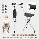 【10%OFFクーポン】ステッキチェア ステッキ チェアー 椅子になる杖 折り畳みチェア 座れる杖 一本杖 一脚杖 祖父母 プレゼント 杖 三脚 椅子 杖 軽量 ワンタッチ 散歩 ハイキング 旅行 運動会 シニア タダチェア お年寄り 高齢者 歩行補助器具