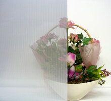 img61366688.jpg