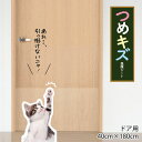 猫 壁紙保護シート はがせる 爪とぎ防止 壁紙 ボロボロ 対策 PTS- 40x180cm ドア 扉 傷防止 貼ってはがせる 半透明 ネコ柄 ペット 犬 汚れ防...