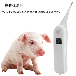 【楽天倉庫で発送！すぐGET!】 動物・ペット用デジタル 直腸体温計 高精度 ペット体温計 動物体温計 電子体温計 耐久性 操作簡単 豚 羊 牛 犬 猫 馬 デジタル体温計 ペット犬猫、豚 家禽 動物体温計