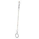 狂った買い物 鳥のアンクレット, Birds Birds Training Harness Birds Anklet 防錆ステンレス鋼 Pigeon Bird ...