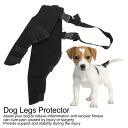 犬 サポーター 前足後足左右兼用 ショット 小型犬 中型犬 大型犬 関節サポーター 膝 踵 ショート プロテクター 脚 サポート 捻挫 関節炎 予防 傷口 手根 足根 保護 二次感染 術後 リハビリ 怪我 足首 骨折治療 老犬 散歩 歩行サポート 介護 腕 肘 筋肉 脱臼 冷え(4)