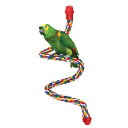 バードトイ インコ おもちゃ オウム噛む玩具 鳥 はしご おもちゃ ブランコ 吊り下げ式 インストール簡単 様々な形状 (L)